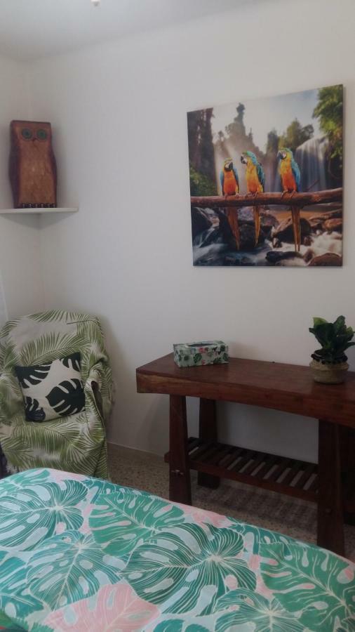 Appartement F3 Valescure Saint-Raphaël Екстериор снимка